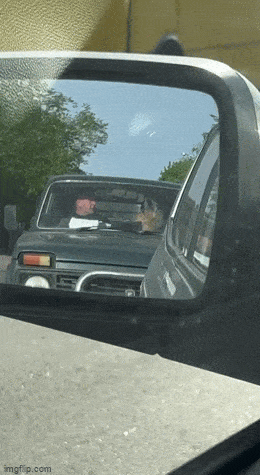 Morning Gifdump