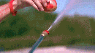 Morning Gifdump