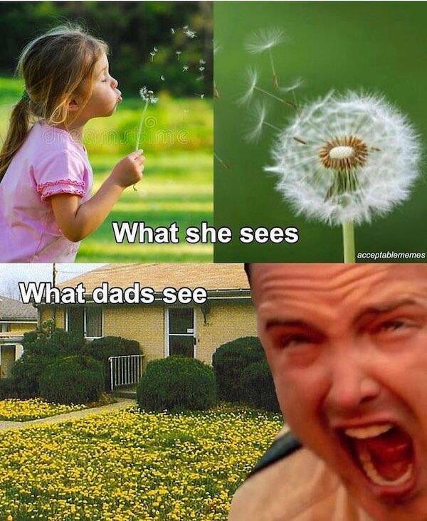 Dad Jokes Gone Wild: Hilarious Memes That Will Make You LOL
