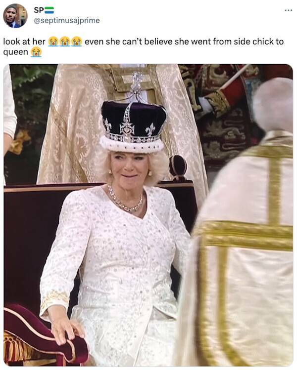 Laughing With The Royals: The Best Coronation Memes