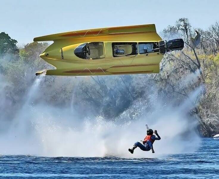 Picture Perfect: Amazingly Timed Images That Are Simply Unforgettable