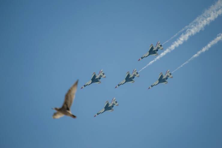 Picture Perfect: Amazingly Timed Images That Are Simply Unforgettable