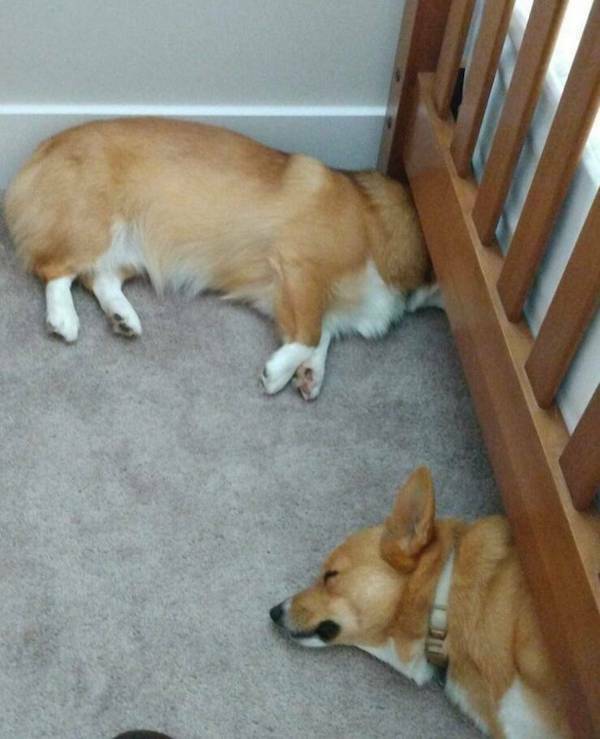 Picture Perfect: Amazingly Timed Images That Are Simply Unforgettable