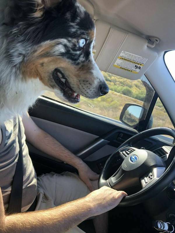 Picture Perfect: Amazingly Timed Images That Are Simply Unforgettable