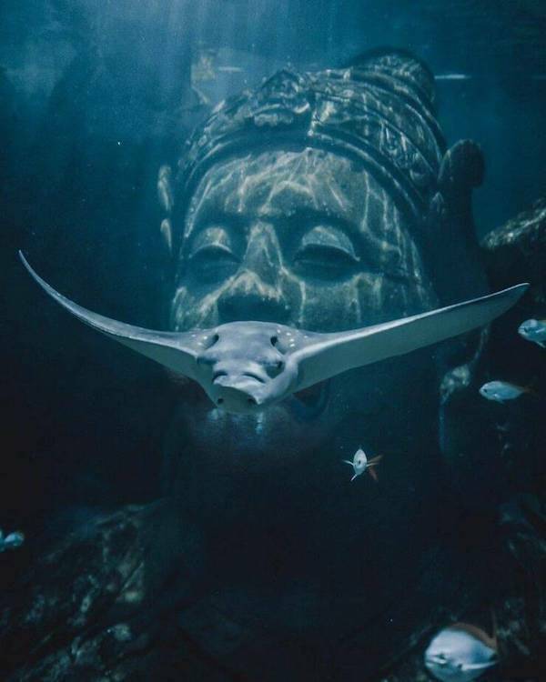 Picture Perfect: Amazingly Timed Images That Are Simply Unforgettable