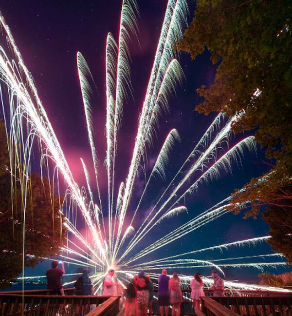 Picture Perfect: Amazingly Timed Images That Are Simply Unforgettable