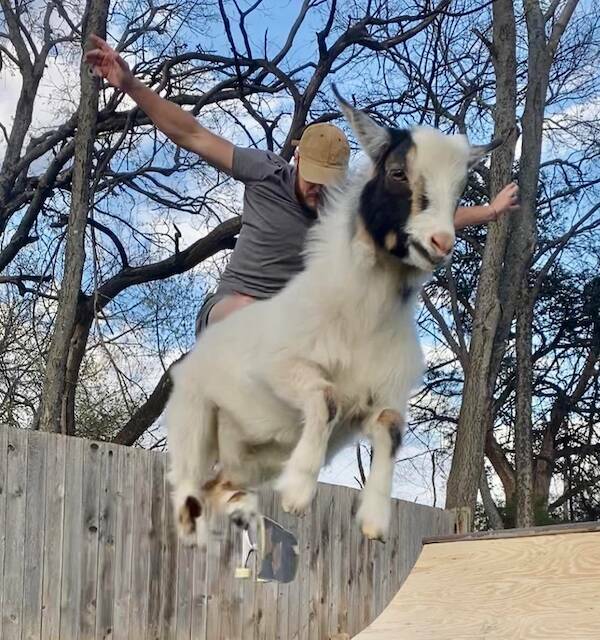 Picture Perfect: Amazingly Timed Images That Are Simply Unforgettable