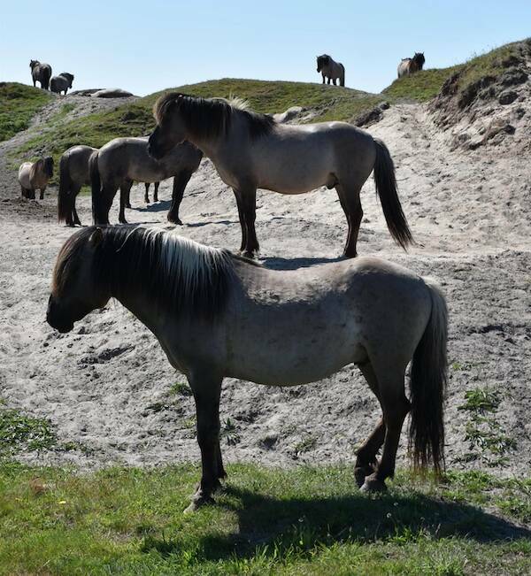 Picture Perfect: Amazingly Timed Images That Are Simply Unforgettable