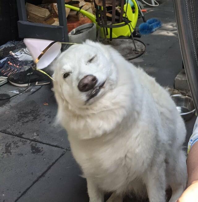 Picture Perfect: Amazingly Timed Images That Are Simply Unforgettable