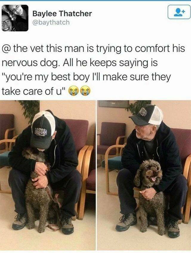 Why Dogs Are Truly Mans Best Friend
