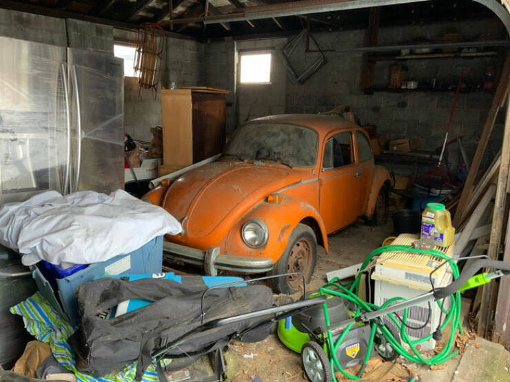 Beyond Belief: Home Inspectors Reveal The Most Shocking Discoveries In Boston Homes