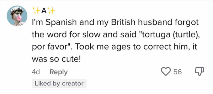 Lost In Translation: Hilarious And Heartwarming Moments Of Non-Native English Speakers