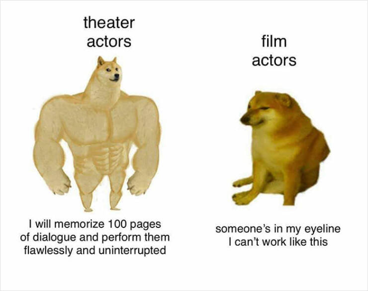 Mocking The Movies: Memes That Playfully Roast Filmmakers