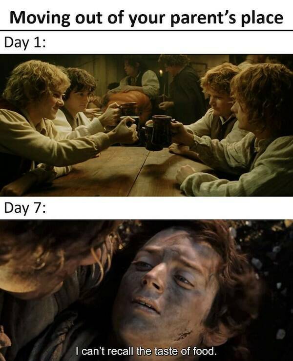One Meme To Rule Them All: Hilarious Lord Of The Rings Memes