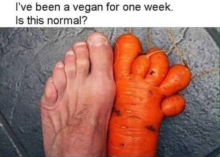 Plant-Based Humor: Hilarious Vegan Memes