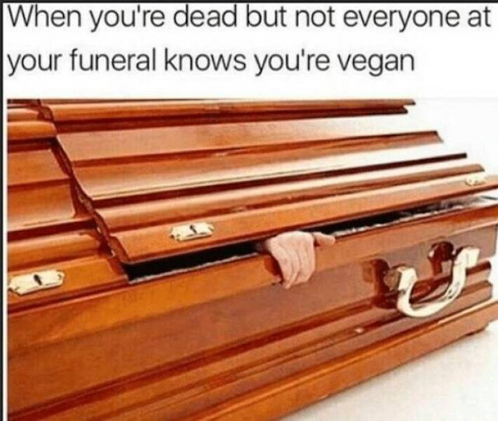 Plant-Based Humor: Hilarious Vegan Memes