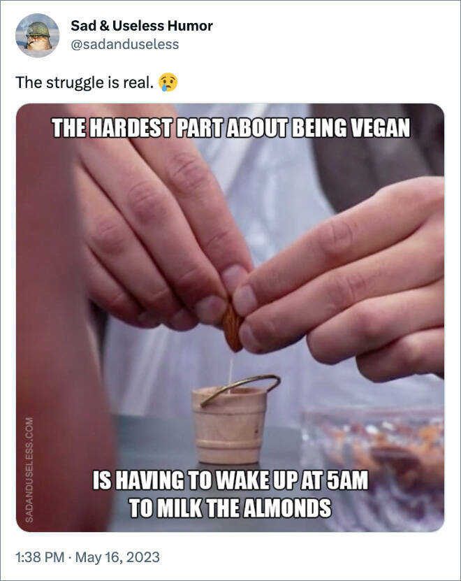 Plant-Based Humor: Hilarious Vegan Memes