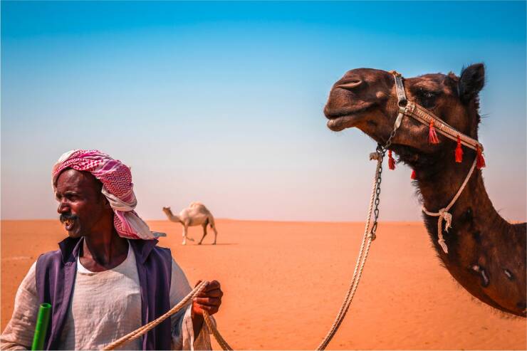 From Souq Shopping to Camel Riding: How to Enjoy the Best of Kuwait