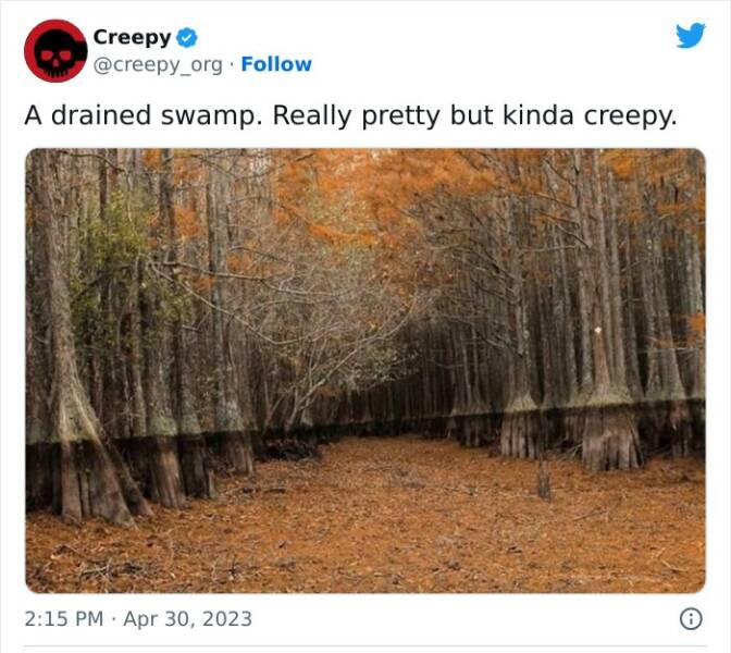 Into the Creepverse: The Most Bone-Chilling Posts