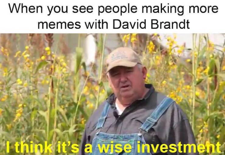 Dave Brandts Memetic Legacy: The Funniest Honest Work Memes
