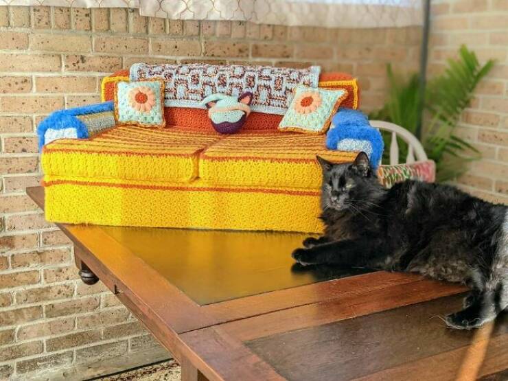 Purrfectly Designed: Furniture Specially Crafted For Cats