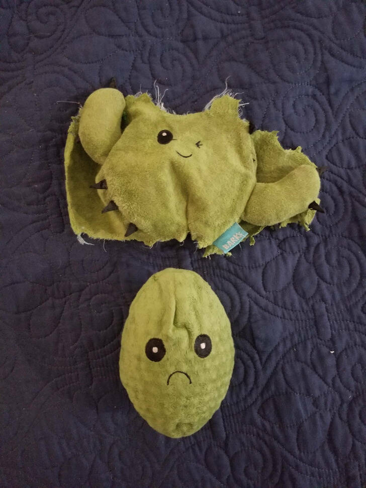 Nailing The Task: People Who Exemplify Understanding The Assignment