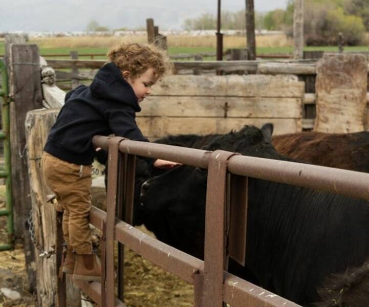 Little Charmer Bandits: Toddlers Who Steal Hearts And Smiles