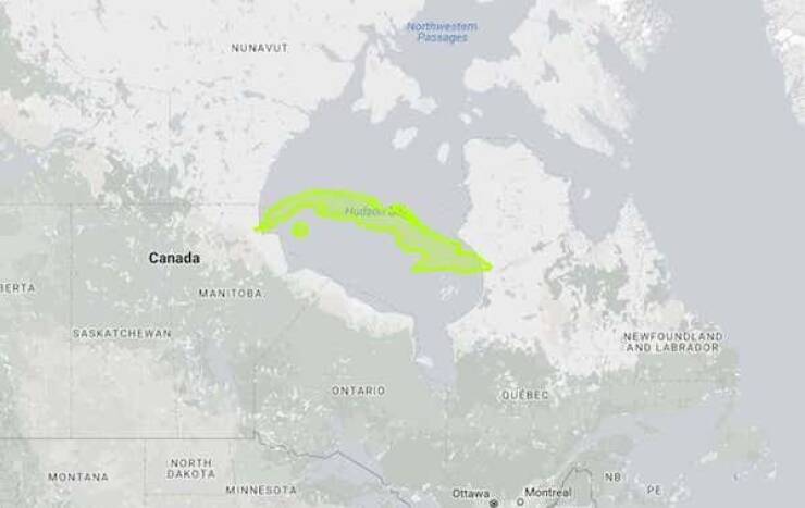 Mind-Blowing Maps That Prove Size DOES Matter