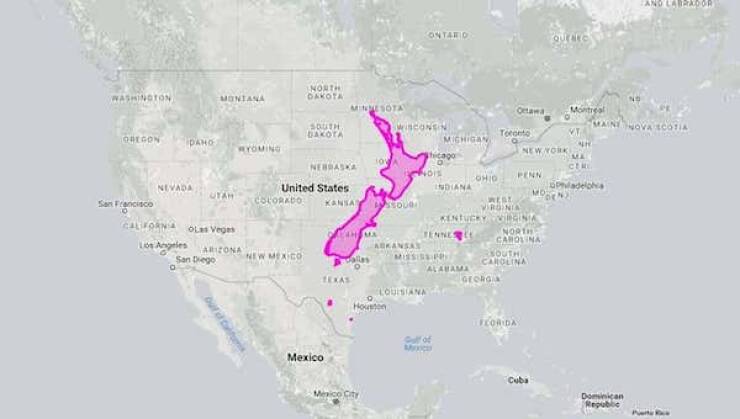Mind-Blowing Maps That Prove Size DOES Matter