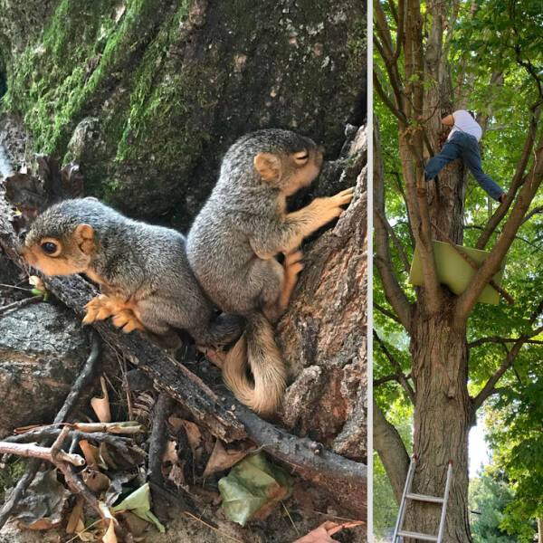 Unbreakable Spirit: Inspiring Pictures That Demonstrate Human Resilience