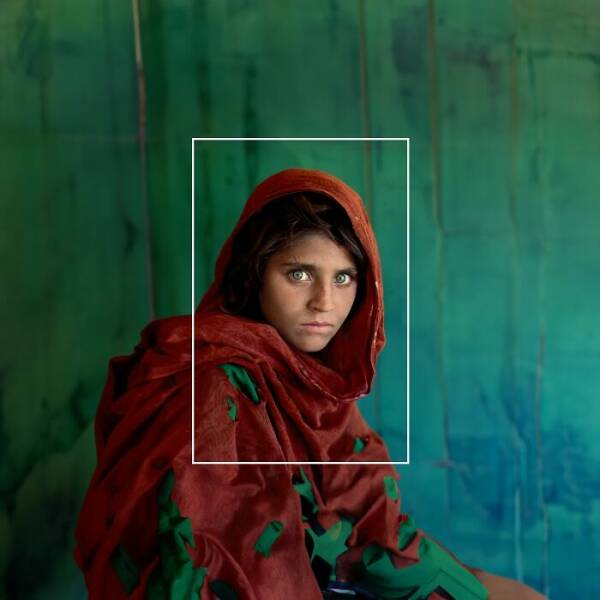 Extended Memes And Photos: Masterpieces Created With The Latest Photoshop Feature
