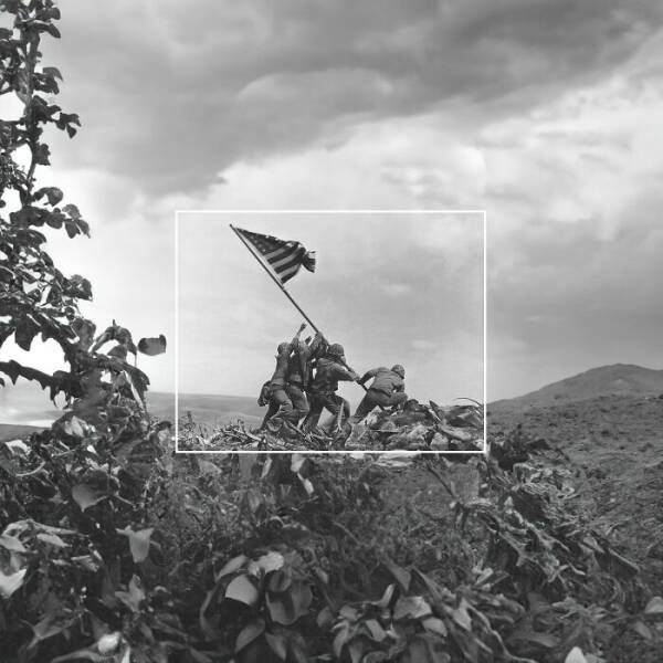 Extended Memes And Photos: Masterpieces Created With The Latest Photoshop Feature