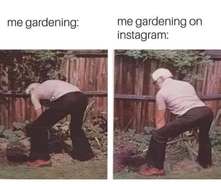 Plant-Related Memes That Will Resonate With Plant Lovers Everywhere