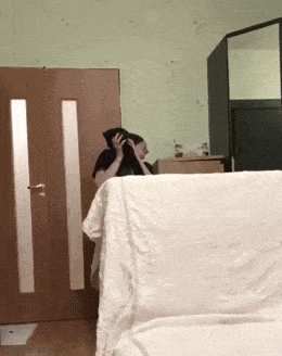Daily Gifdump