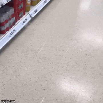 Daily Gifdump