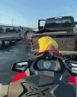 Morning Gifdump