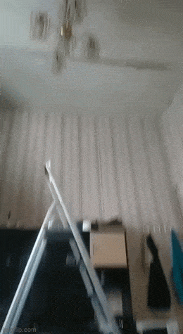 Morning Gifdump