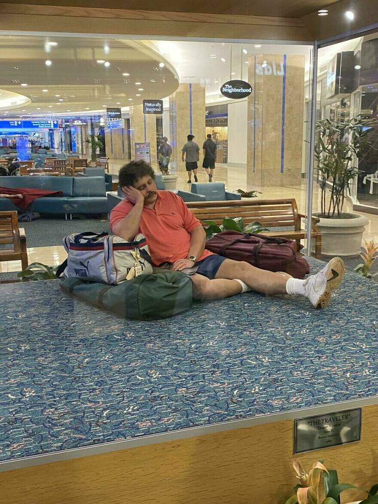 Airport Chronicles: Hilarious, Heartwarming, And Bizarre Pics From The Terminal