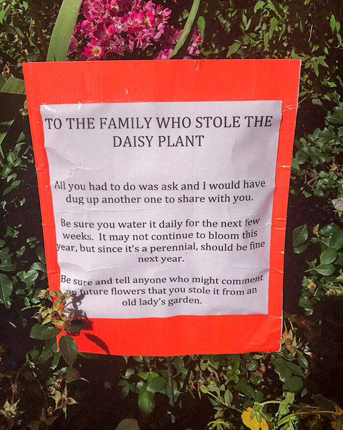 Laugh-Out-Loud Moments Of Passive-Aggression