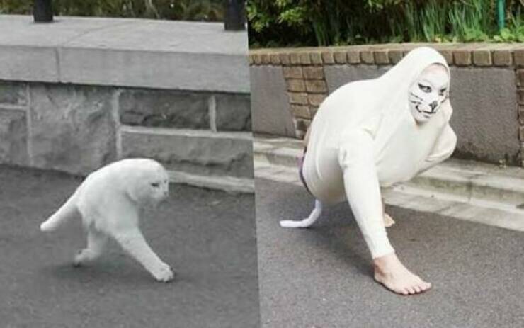 Bizarre And Bewildering: Unraveling The Mystery Of Cursed Images Bizarre And Bewildering: Unraveling The Mystery Of Cursed Images