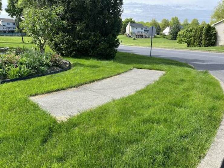 Bizarre And Bewildering: Unraveling The Mystery Of Cursed Images Bizarre And Bewildering: Unraveling The Mystery Of Cursed Images