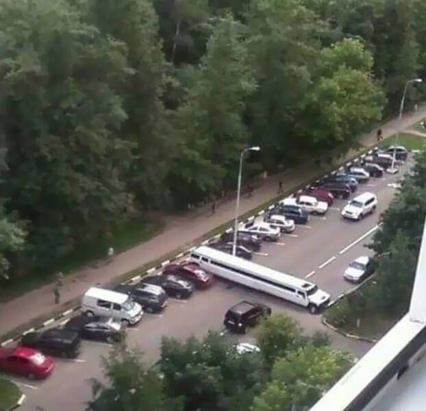 Bizarre And Bewildering: Unraveling The Mystery Of Cursed Images Bizarre And Bewildering: Unraveling The Mystery Of Cursed Images