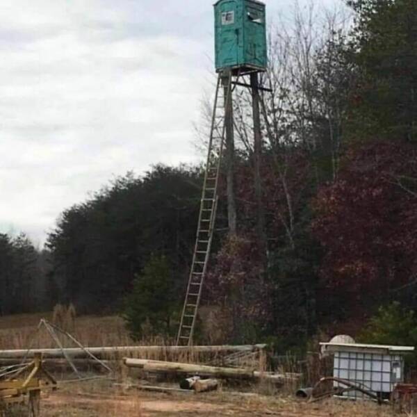 Bizarre And Bewildering: Unraveling The Mystery Of Cursed Images Bizarre And Bewildering: Unraveling The Mystery Of Cursed Images