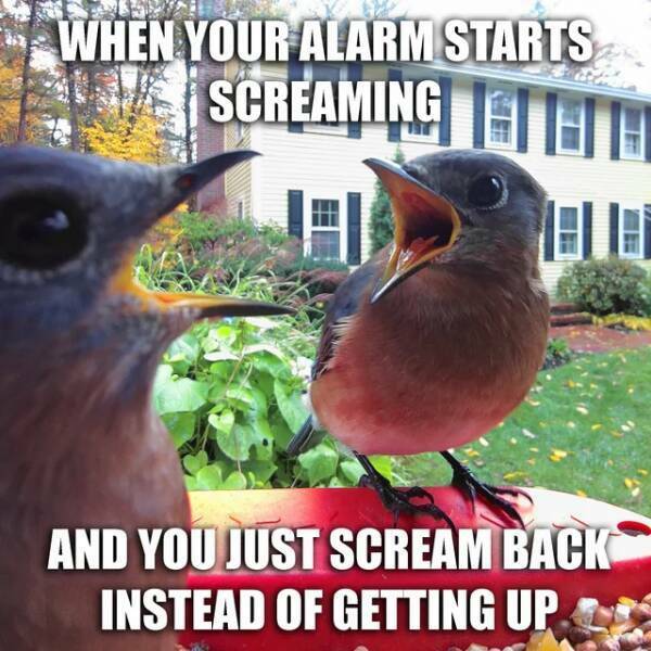 Work And Laughter: Finding Humor In the Daily Grind