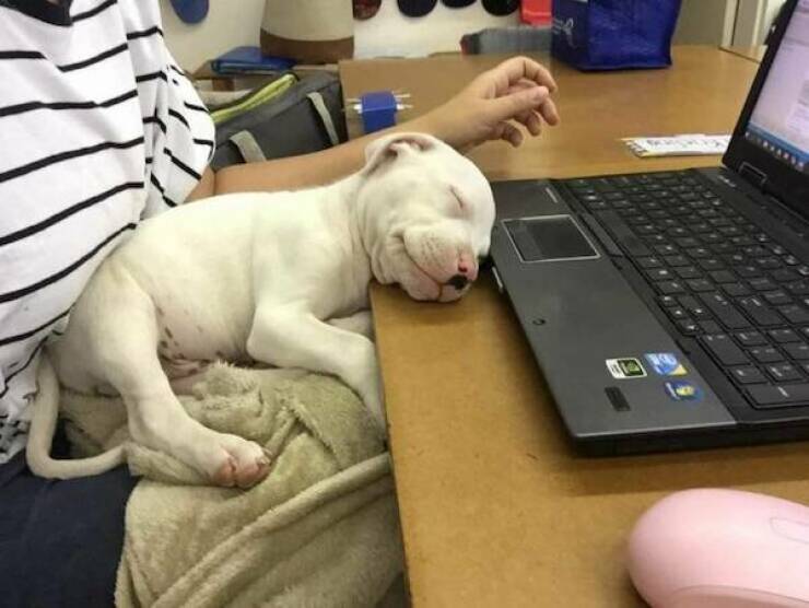 Work And Laughter: Finding Humor In the Daily Grind