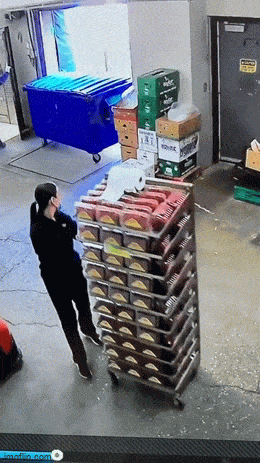 Work And Laughter: Finding Humor In the Daily Grind