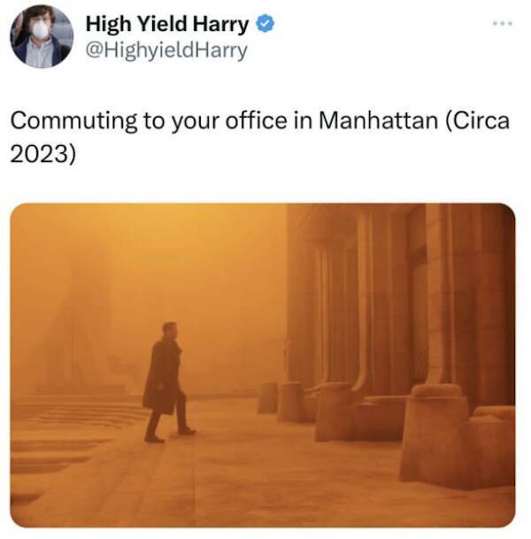 NYC Wildfire Smoke: Memes That Capture The Out-of-Control Situation