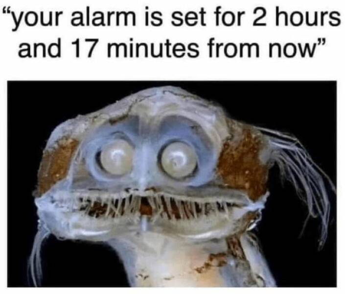 Sleepless In Memeland: Hilarious Memes For The Borderline Insomniacs Sleepless In Memeland: Hilarious Memes For The Borderline Insomniacs