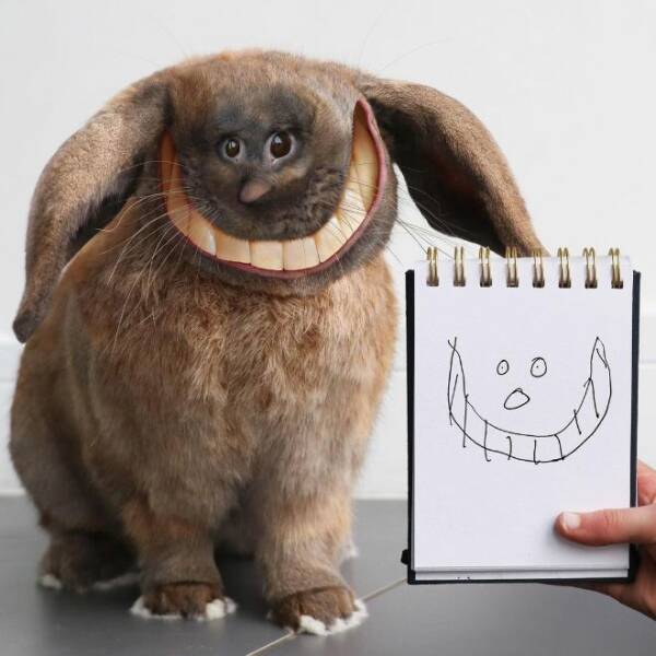 When Dad Brings Kids Animal Drawings To Life