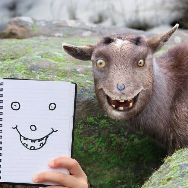 When Dad Brings Kids Animal Drawings To Life